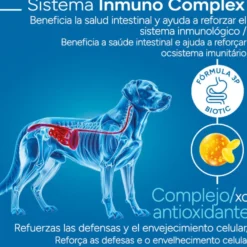Criadores Científico Adulto Maxi Ração de frango para cães