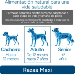 Criadores Científico Adulto Maxi Ração de frango para cães