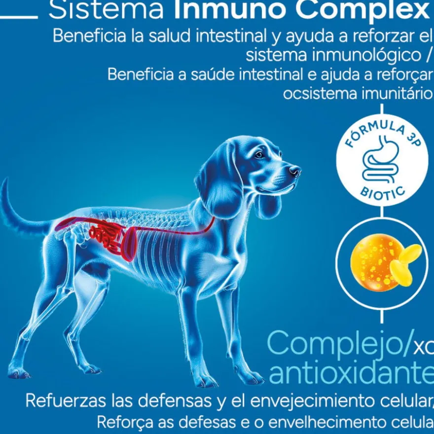 Criadores Científico Adulto Medium Ração de frango para cães
