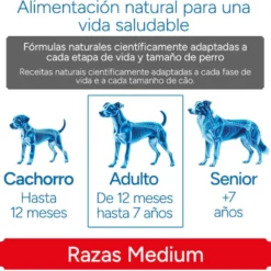 Criadores Científico Adulto Medium Ração de frango para cães