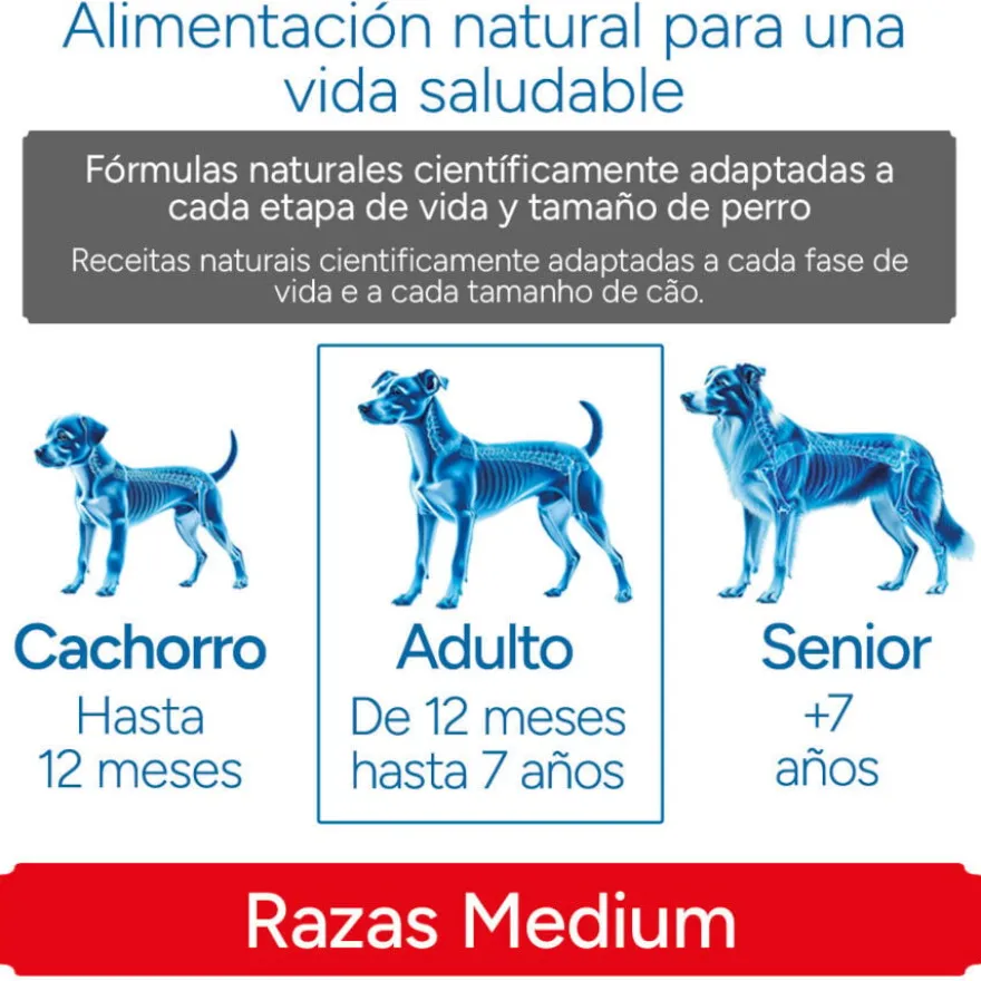 Criadores Científico Adulto Medium Ração de frango para cães