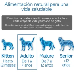 Criadores Científico Adulto Ração de frango para gatos