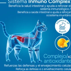 Criadores Científico Adulto Ração de frango para gatos
