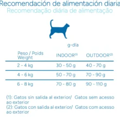 Criadores Científico Adulto Ração de frango para gatos