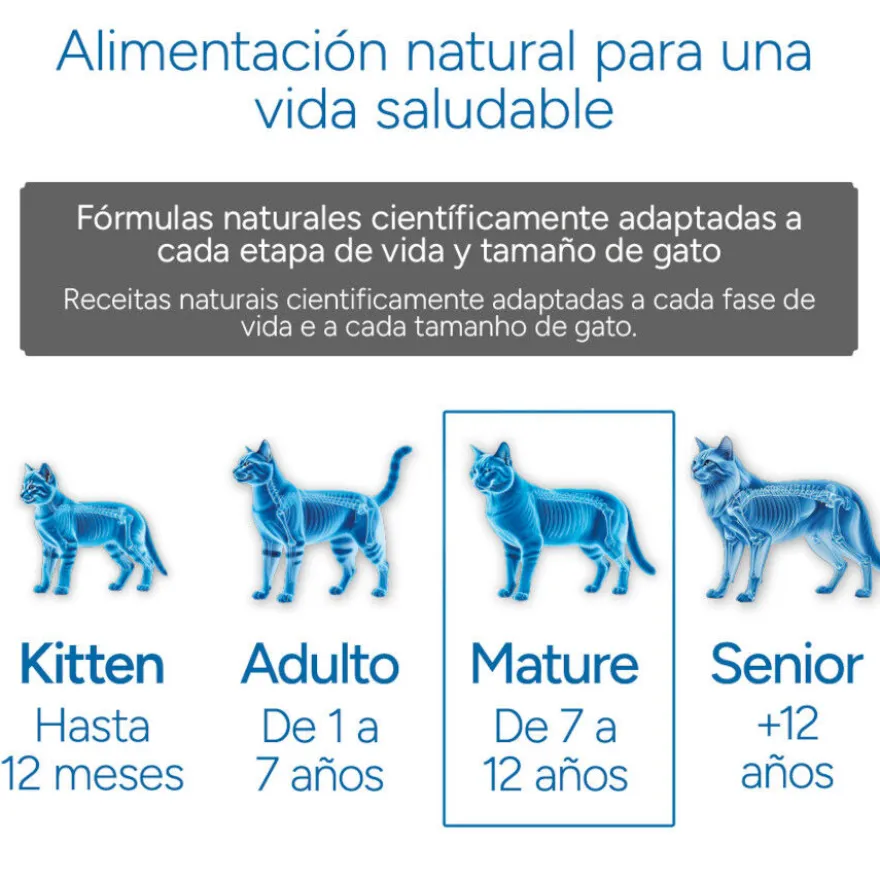 Criadores Científico Mature +7 Ração de frango para gatos