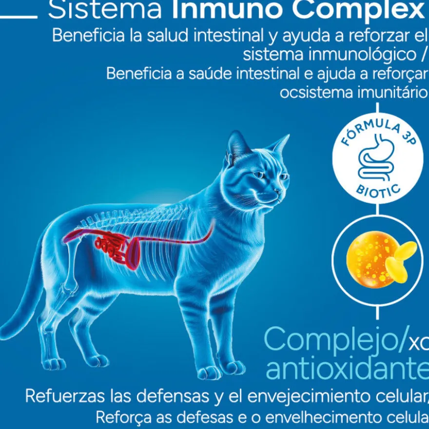 Criadores Científico Mature +7 Ração de frango para gatos
