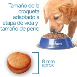 Criadores Científico Mini Ração de frango para cachorros
