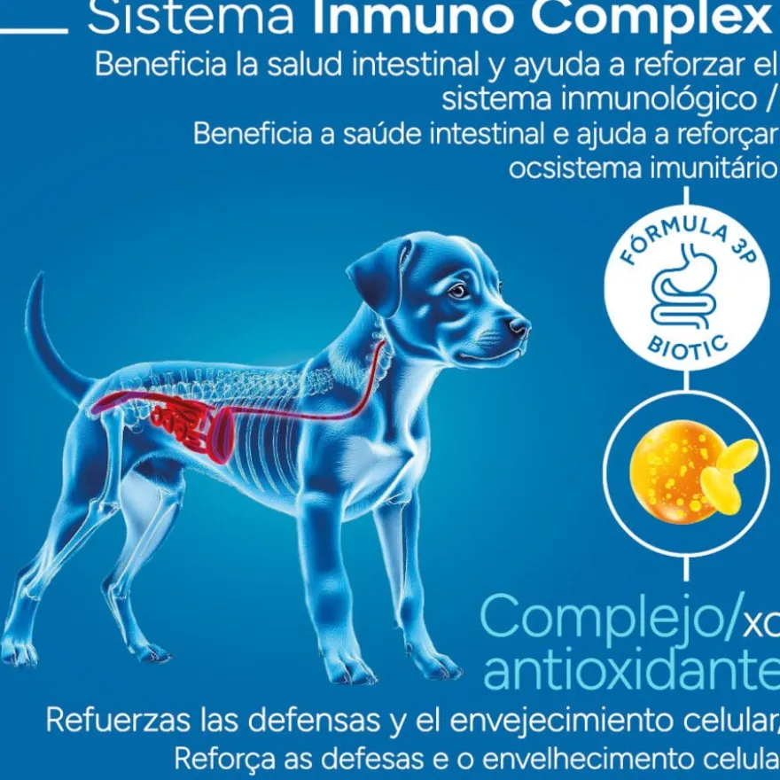 Criadores Científico Mini Ração de frango para cachorros