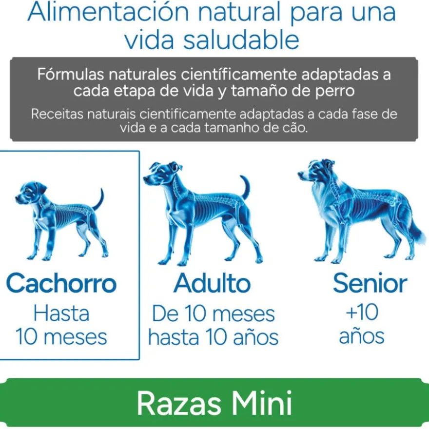 Criadores Científico Mini Ração de frango para cachorros