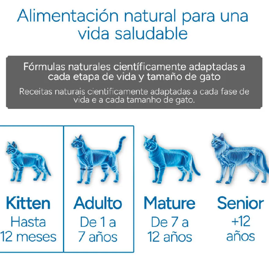 Criadores Científico Mother&BabyCat Ração de frango para gatos