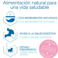 Criadores Científico Mother&BabyCat Ração de frango para gatos