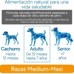 Criadores Científico Sensitive Adulto Medium-Maxi Ração de salmão para cães