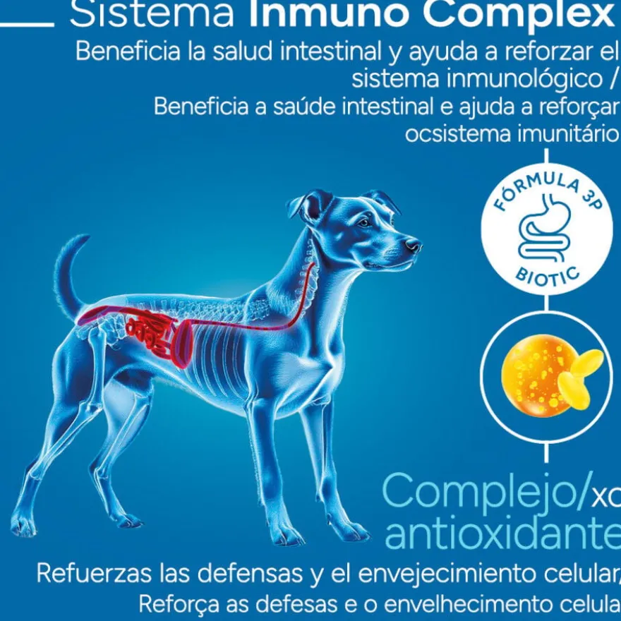 Criadores Científico Sensitive Adulto Mini Ração de salmão para cães