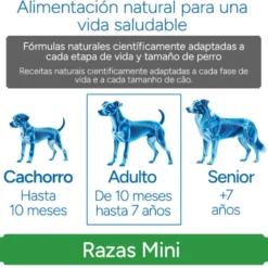 Criadores Científico Sensitive Adulto Mini Ração de salmão para cães