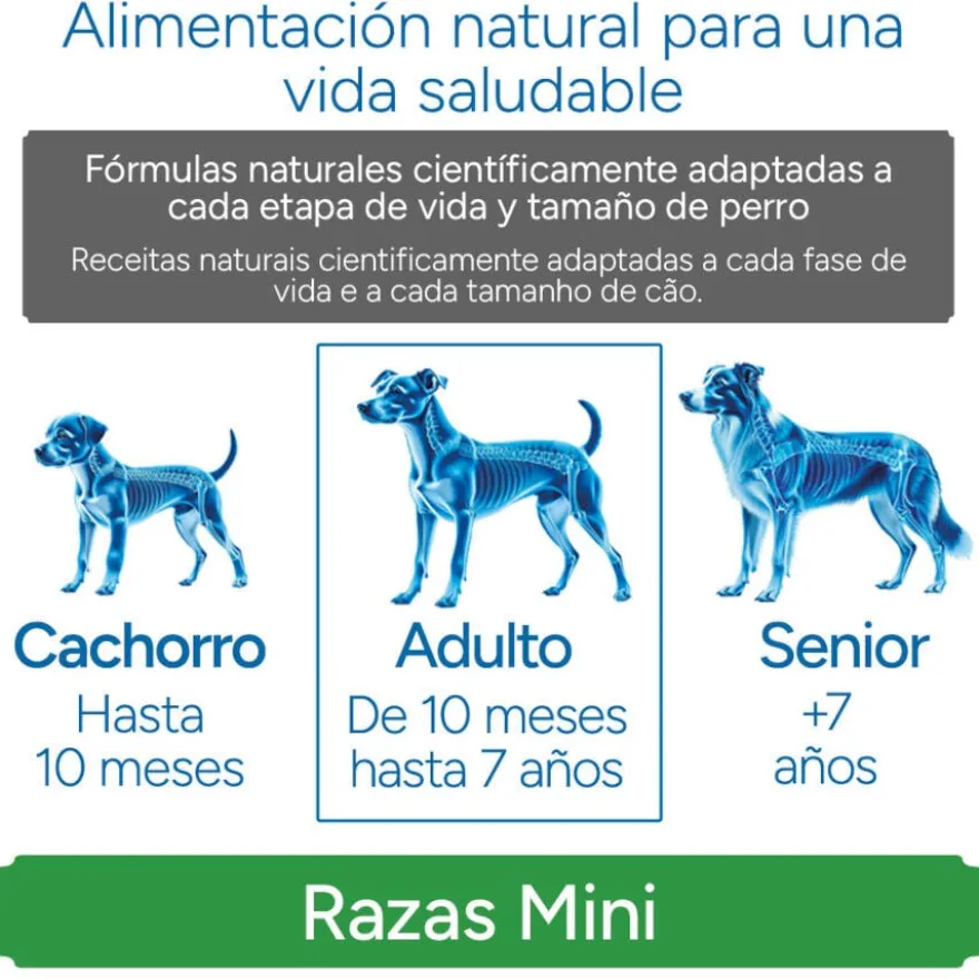 Criadores Científico Sensitive Adulto Mini Ração de salmão para cães