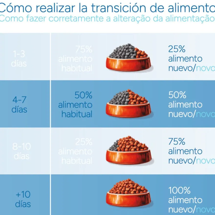 Criadores Científico Sensitive Adulto Mini Ração de salmão para cães