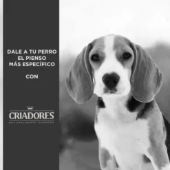 Criadores Dietetic Hipoalergénico Adulto ração para cães