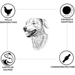 Criadores Frango e Arroz ração para cachorros de raças grandes