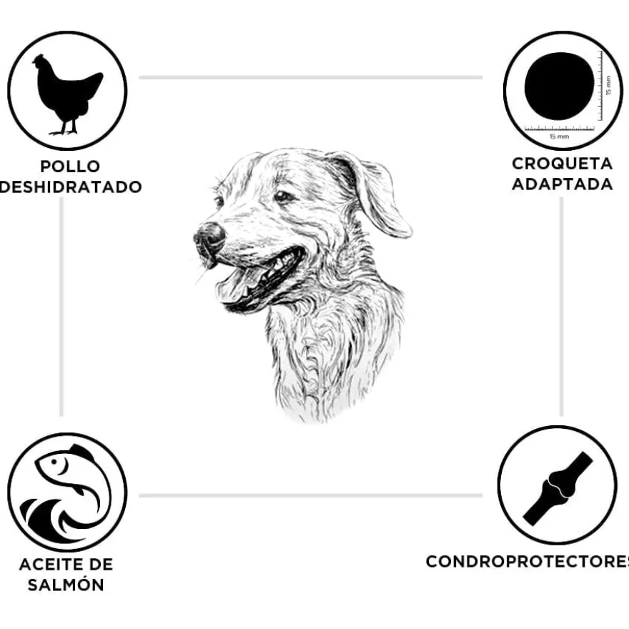 Criadores Frango e Arroz ração para cachorros de raças grandes