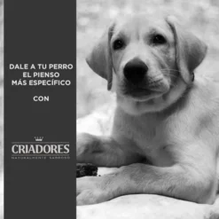 Criadores Frango e Arroz ração para cachorros de raças grandes