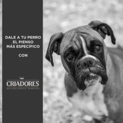 Criadores Grain Free Peru ração cães raças médias e grandes