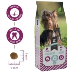 Criadores Yorkshire Terrier Frango ração para cães