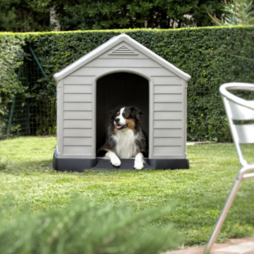 Curver Casota para cães