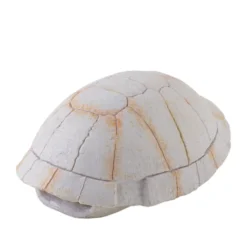 Decoração Exo Terra Fossil Turtle Shell para terrários