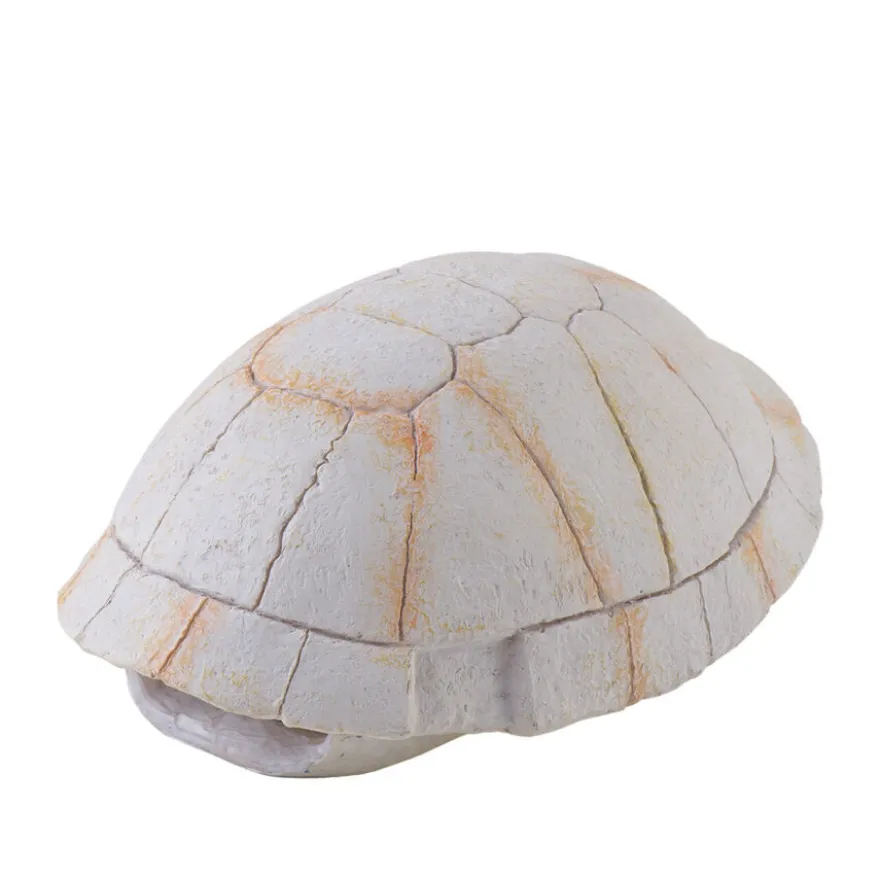 Decoração Exo Terra Fossil Turtle Shell para terrários