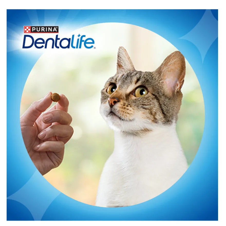 Dentalife Snack Dentários Frango para gatos