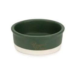 Designed by Lotte Joa Comedouro de Cerâmica Verde para cães