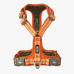Dog Copenhagen Comfort Walk Air Peitoral Laranja para cães