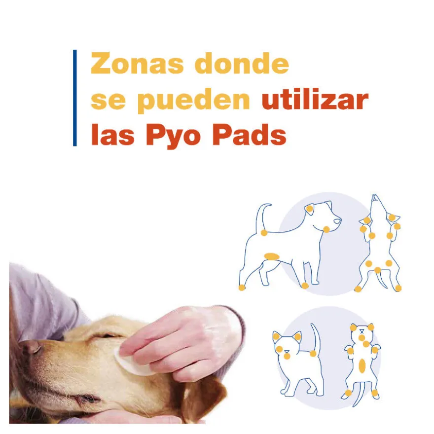 Douxo Pya Algodão Desinfetante para cães e gatos