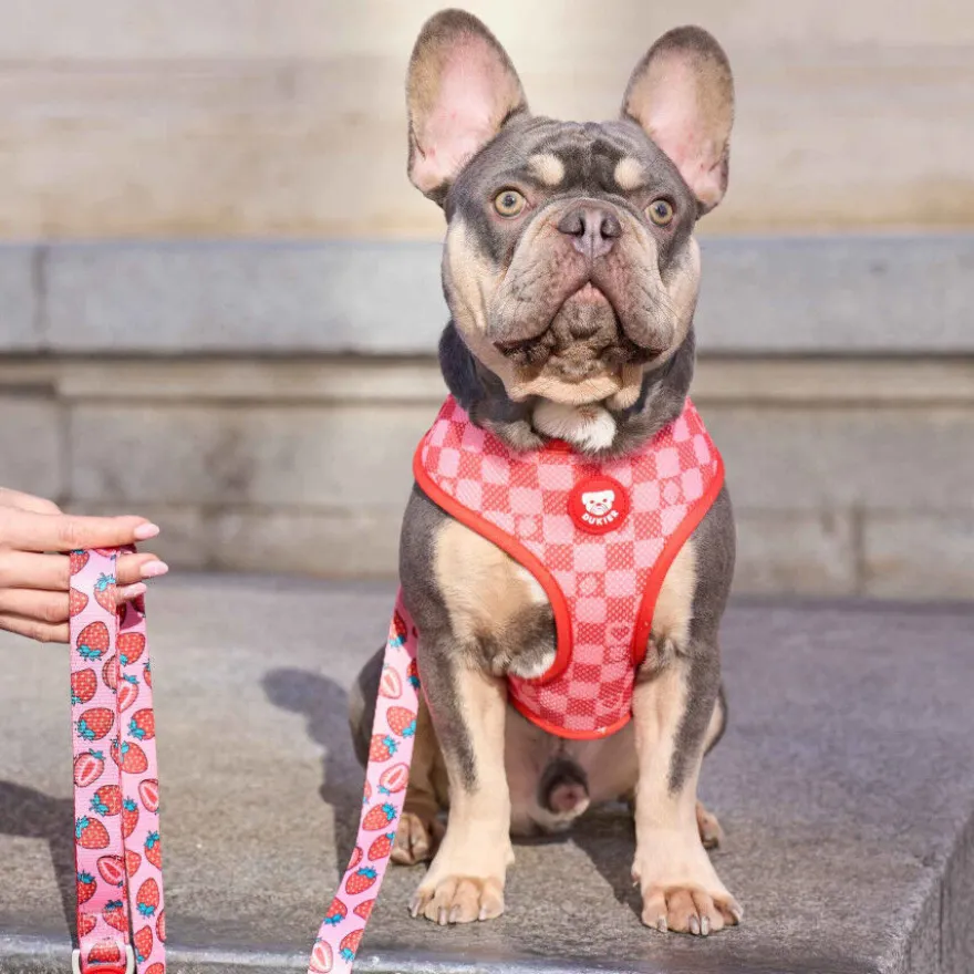 Dukier Arnês Reversível estampado Berry Love para cães