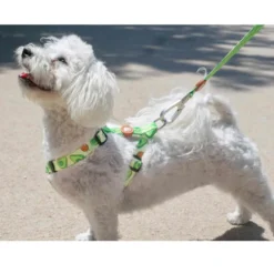 Dukier Avocado Clássico Peitoral com Estampado de Abacate para cães