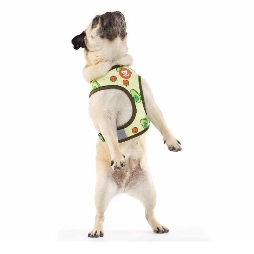 Dukier Avocado Peitoral reversível com estampado de abacate para cães