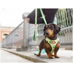 Dukier Avocado Peitoral reversível com estampado de abacate para cães