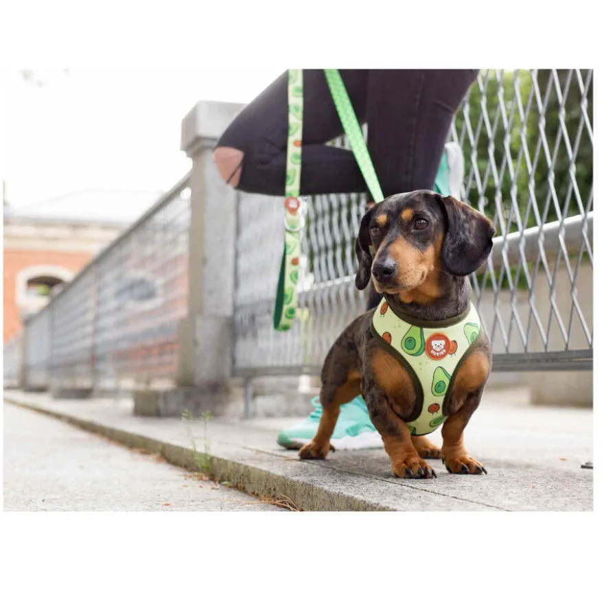 Dukier Avocado Peitoral reversível com estampado de abacate para cães