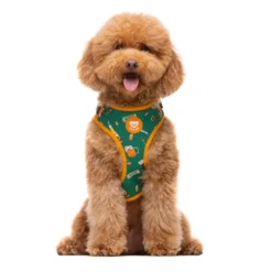 Dukier Beer Peitoral ajustável para cães