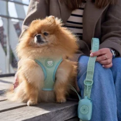 Dukier Body Essencial Cor verde para cães