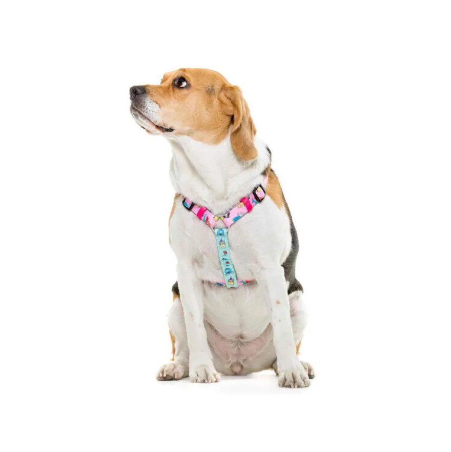 Dukier Clássico Peitoral com Estampado de Princesas para cães