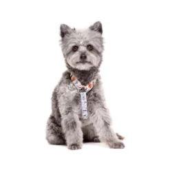 Dukier Clássico Peitoral com Estampado de Tatuagem para cães