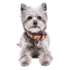 Dukier Coleira com Estampado de tatuagens para cães
