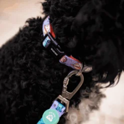 Dukier Coleira Estampada Alien para cães