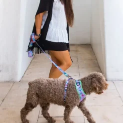 Dukier Coleira Estampado Alien para cães