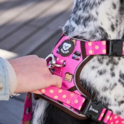 Dukier Dogtella Peitoral trail para cães