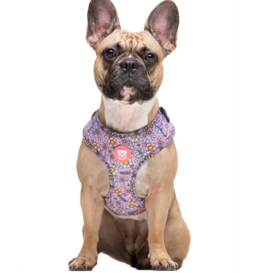 Dukier Flower Power Peitoral ajustável para cães