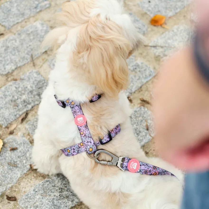 Dukier Flower Power Peitoral Clássico para cães