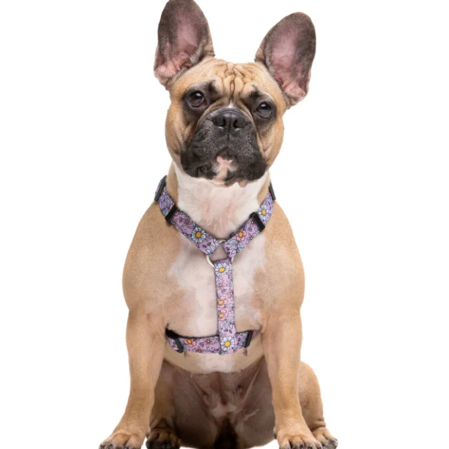Dukier Flower Power Peitoral Clássico para cães