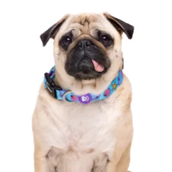 Dukier Mermaid coleira para cães